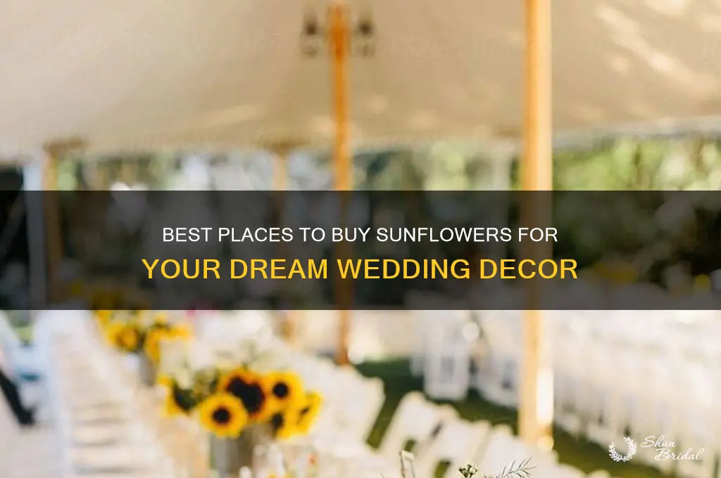 where to buy sunflowers for wedding