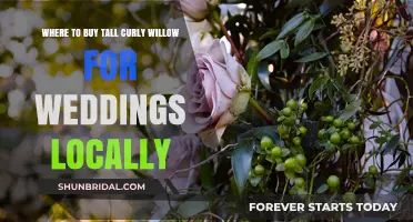 Find Local Tall Curly Willow for Your Wedding Decor Easily