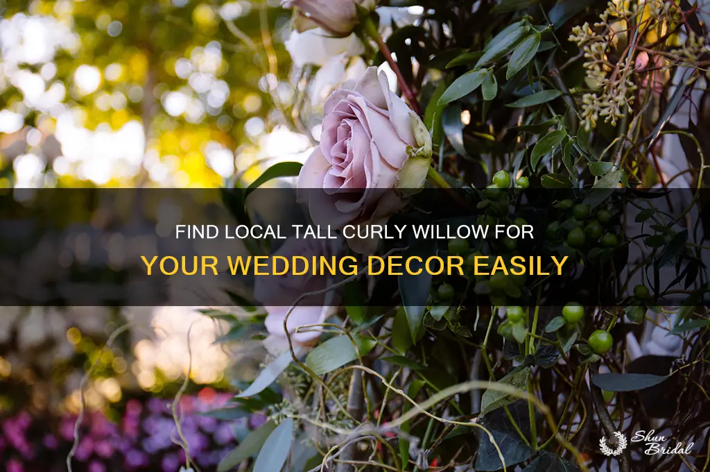 where to buy tall curly willow for weddings locally