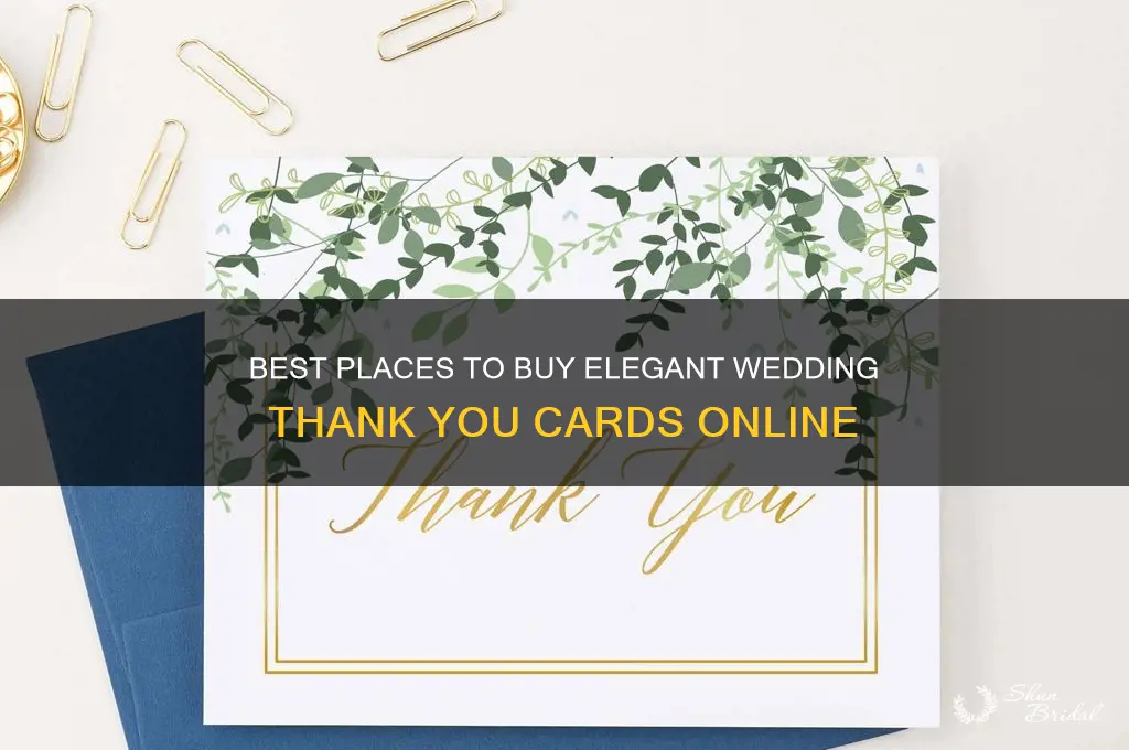 where to buy thank you cards for wedding