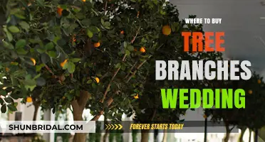 Unique Tree Branches for Weddings: Top Places to Purchase