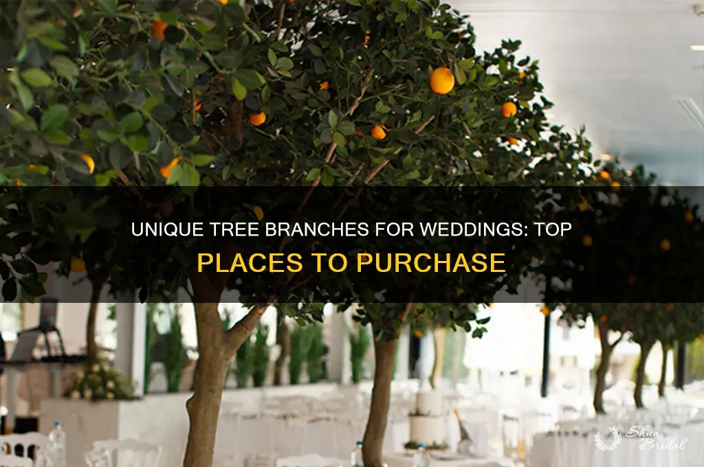 where to buy tree branches wedding