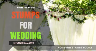 Unique Wedding Decor: Top Places to Buy Tree Stumps for Your Big Day