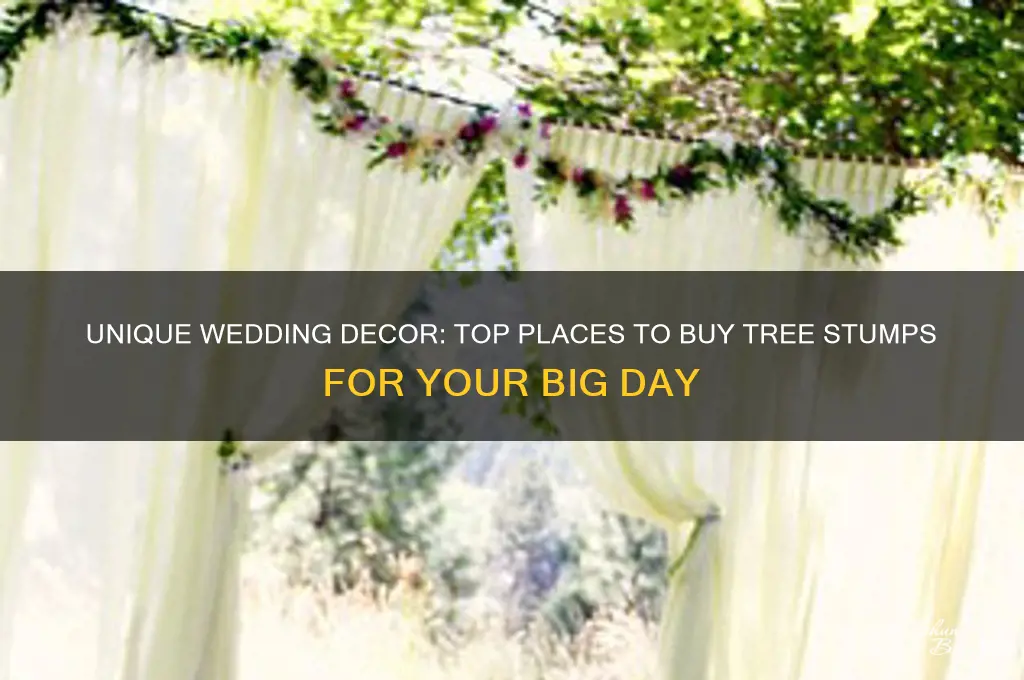 where to buy tree stumps for wedding