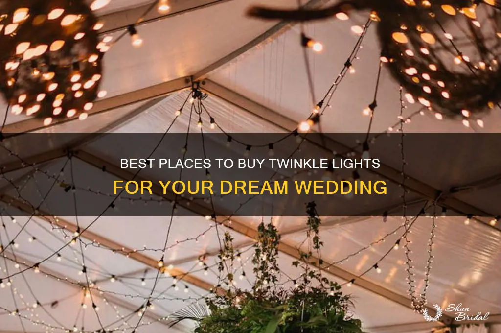 where to buy twinkle lights for weddings