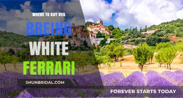 Where to Buy Veil Bright White Ferrari: Top Retailers and Tips
