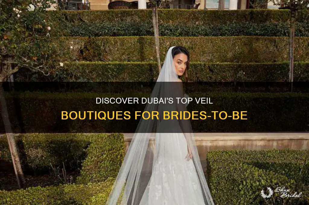 where to buy veils in dubai