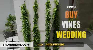 Where to Buy Vines for Your Dream Wedding Decor