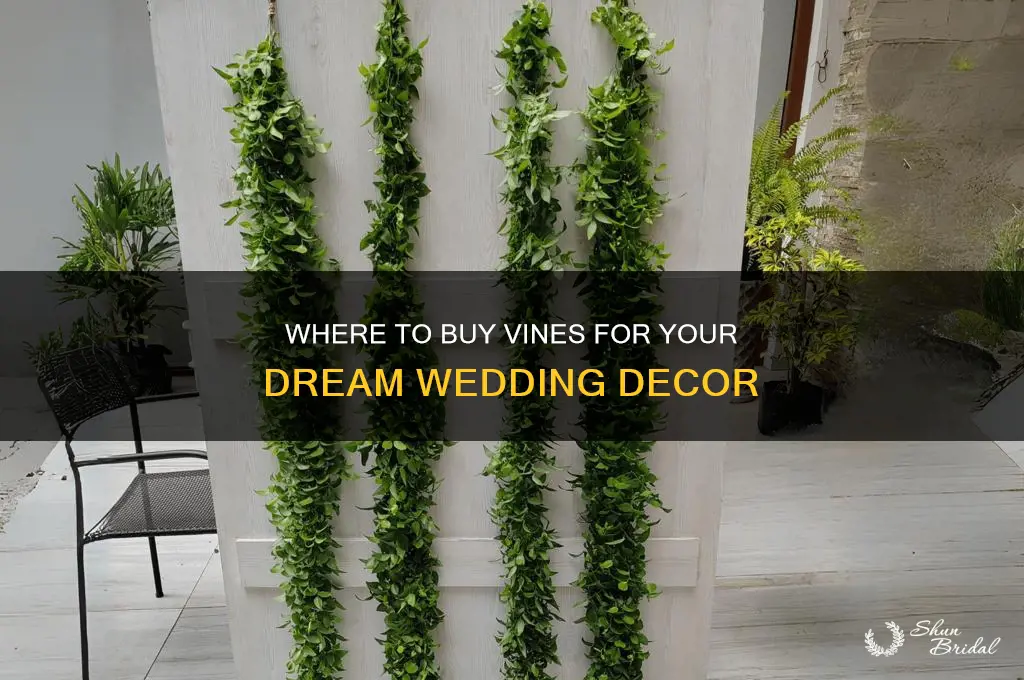 where to buy vines wedding
