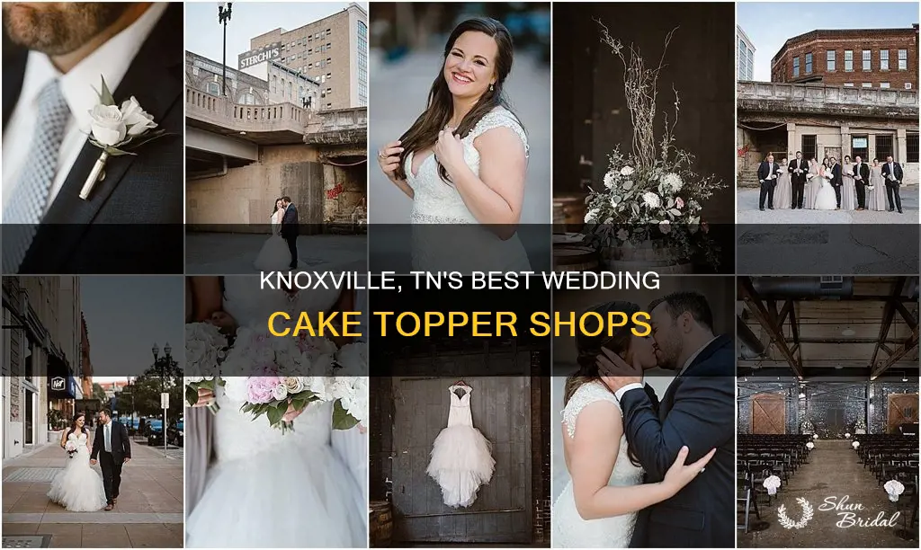 where to buy wedding cake toppers in knoxville tn