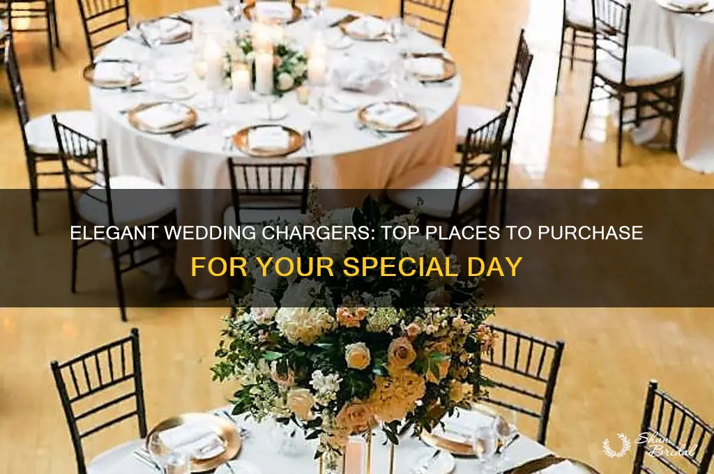 where to buy wedding chargers