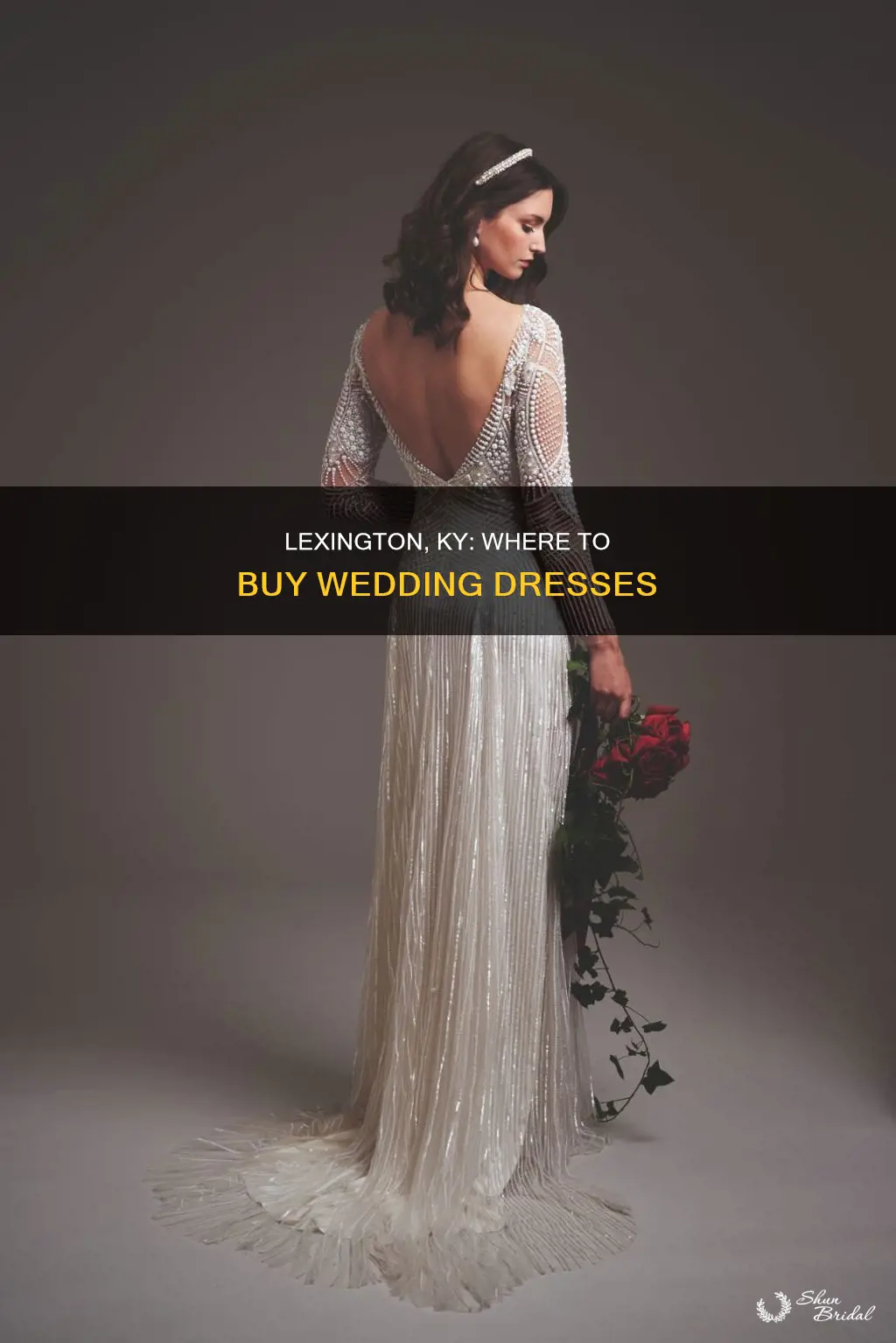 where to buy wedding dresses in lexington ky