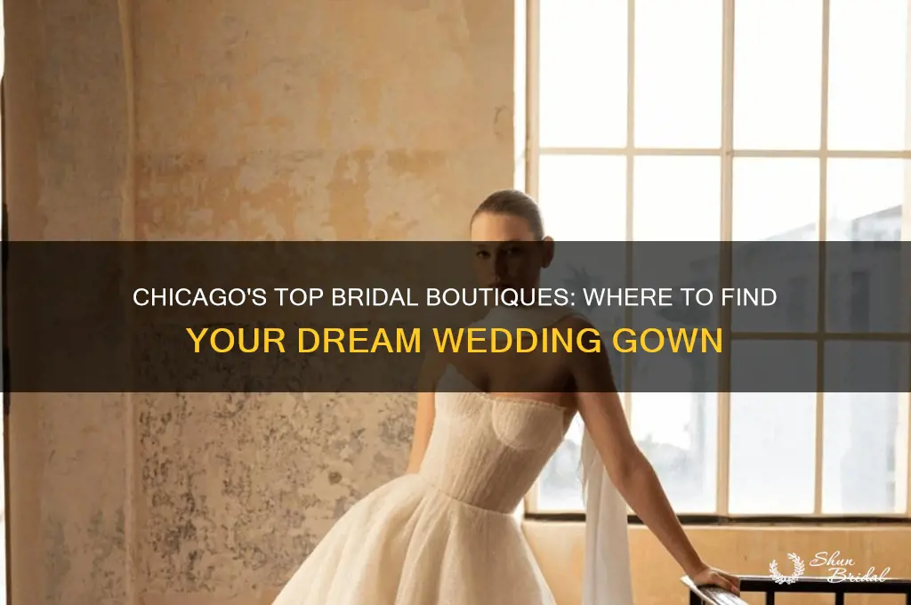 where to buy wedding gowns in Chicago