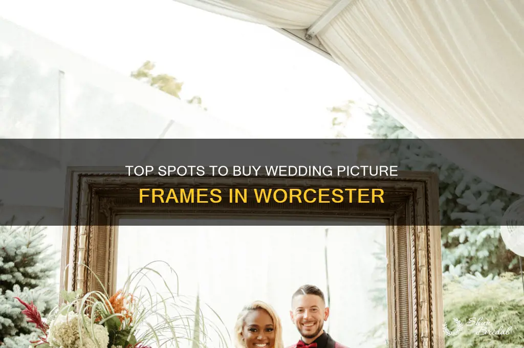 where to buy wedding picture frame worcester