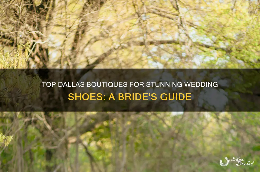 where to buy wedding shoes dallas