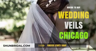 Chicago's Top Bridal Boutiques for Stunning Wedding Veils