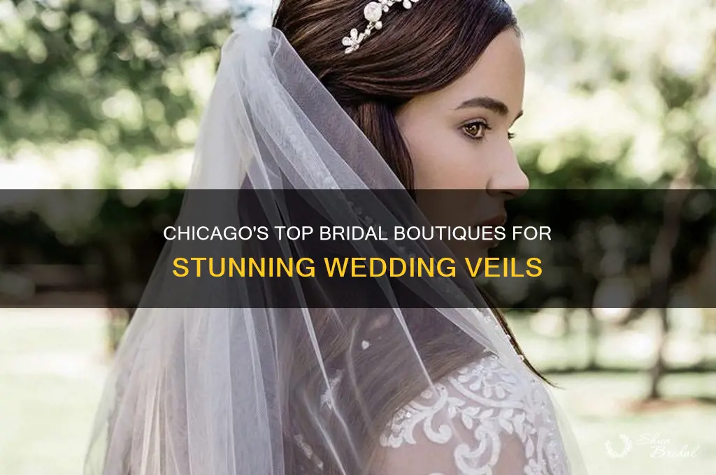 where to buy wedding veils chicago