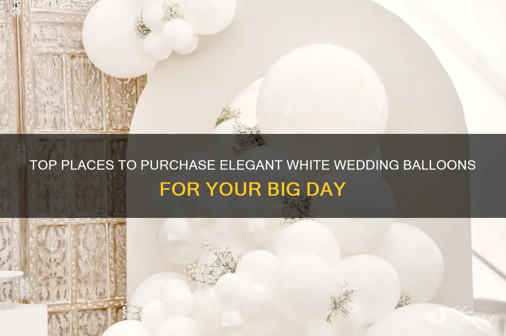 where to buy white wedding balloons