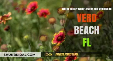 Vero Beach Wedding Wildflowers: Top Local Sources for Your Big Day