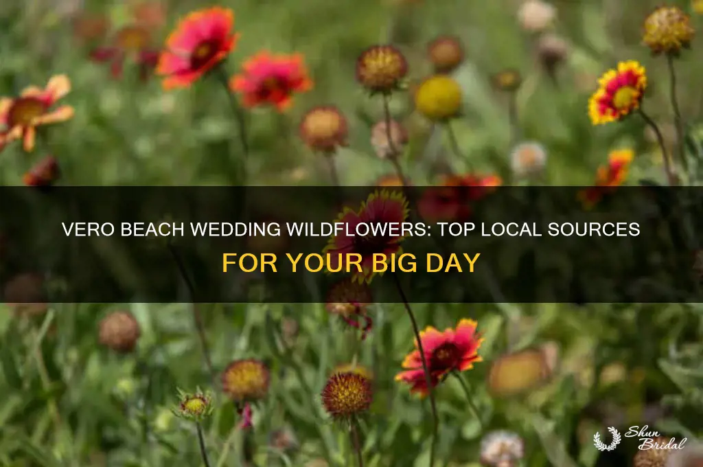 where to buy wildflowers for wedding in vero beach fl