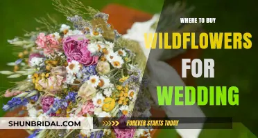 Where to Find and Buy Wildflowers for Your Wedding