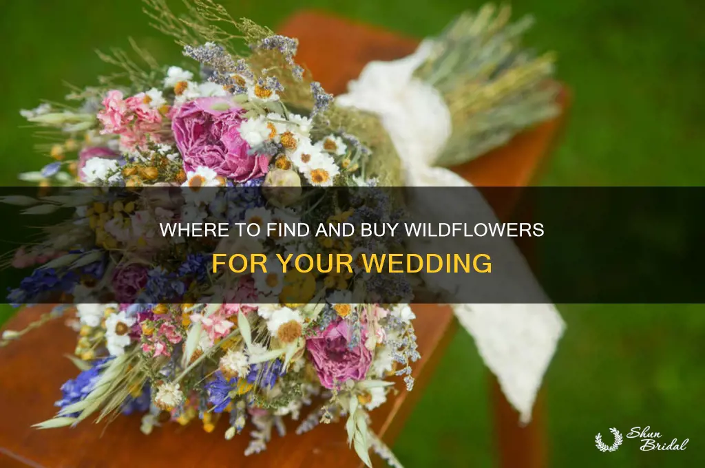 where to buy wildflowers for wedding