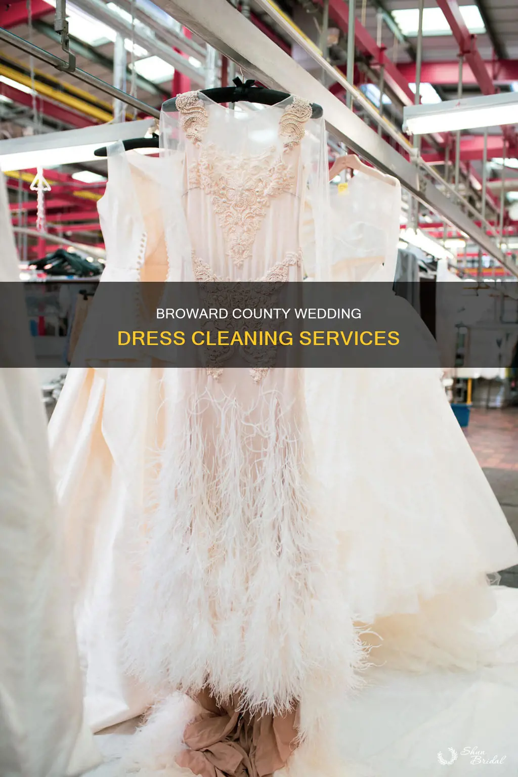 where to clean wedding dress broward county