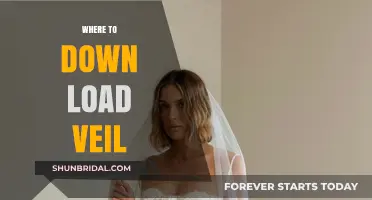 Discover Top Platforms to Download Veil Safely and Easily