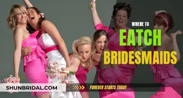 Streaming 'Bridesmaids': Where to Watch and Why