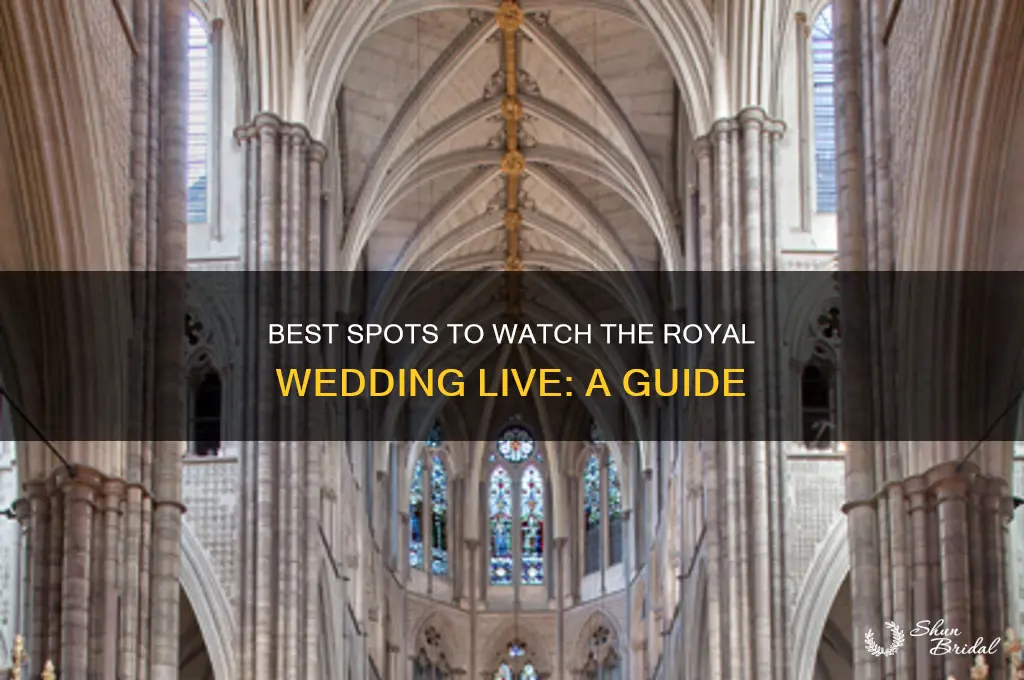 where to eatch the royal wedding