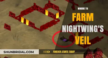 Best Farming Spots for Nightwing's Veil: Top Locations Revealed