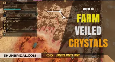 Best Locations to Farm Veiled Crystals for Maximum Efficiency