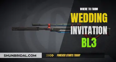 Best Places to Farm Wedding Invitation in Borderlands 3