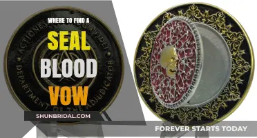 Discovering the Seal Blood Vow: Locations and Ancient Rituals Explained