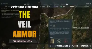 Discover Hidden Locations for Behind the Veil Armor in the Game