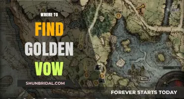Discovering Golden Vow: Top Locations to Find This Rare Treasure