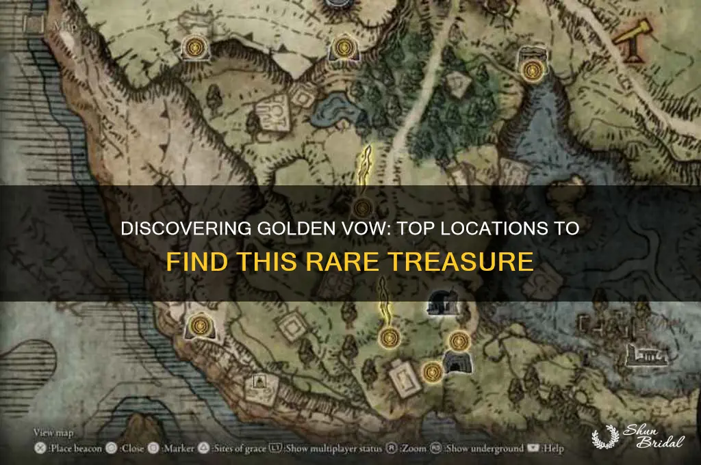 where to find golden vow