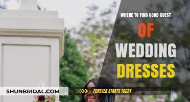 Guest of Wedding Dresses: Where to Shop