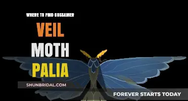 Discovering the Gossamer Veil Moth in Palia: Top Locations