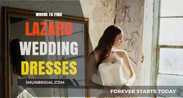 Explore Lazaro Wedding Dresses: Stockists and Collections
