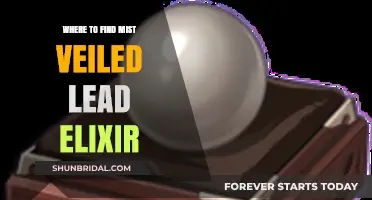 Discover Mist Veiled Lead Elixir Locations: Ultimate Guide for Gamers