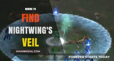 Discover Nightwing's Veil: Top Locations to Find This Rare Item