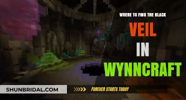 Wynncraft's Black Veil Location Guide: Uncover the Hidden Treasure