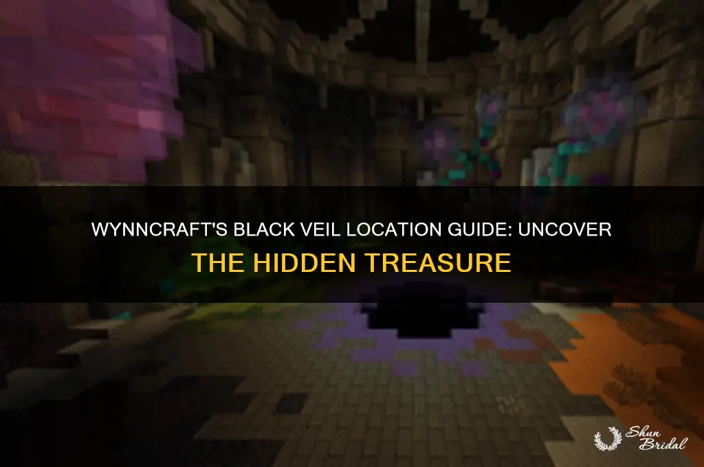 where to find the black veil in wynncraft