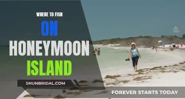 Honeymoon Island: Best Fishing Spots for Anglers