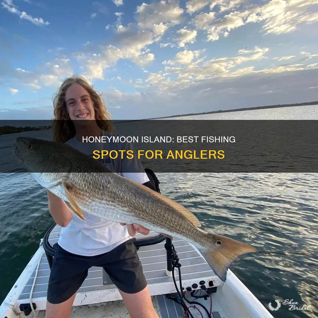 where to fish on honeymoon island
