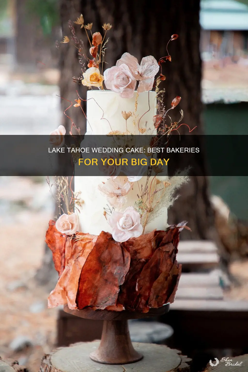 where to get a wedding cake in lake tahoe