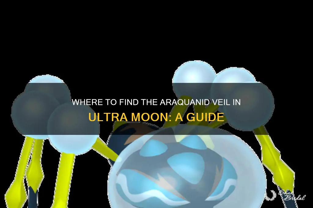 where to get araura veil utlra moon