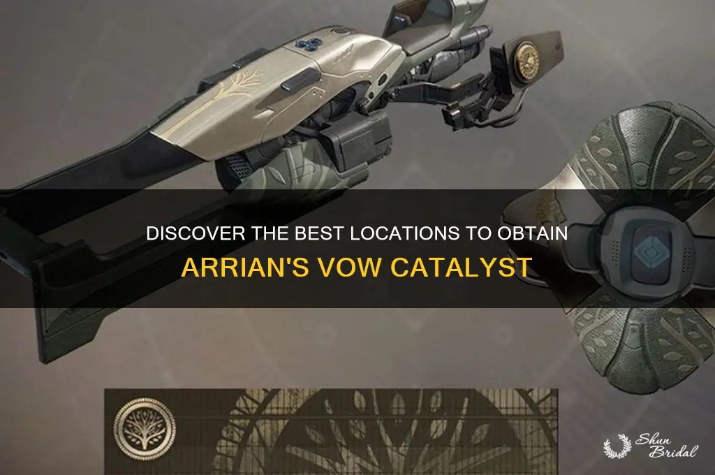 where to get arrians vow catalyst