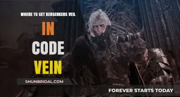 Discover Berserker's Veil Location in Code Vein: A Guide